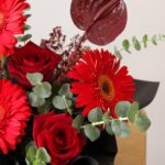 ژربرا و رز قرمز