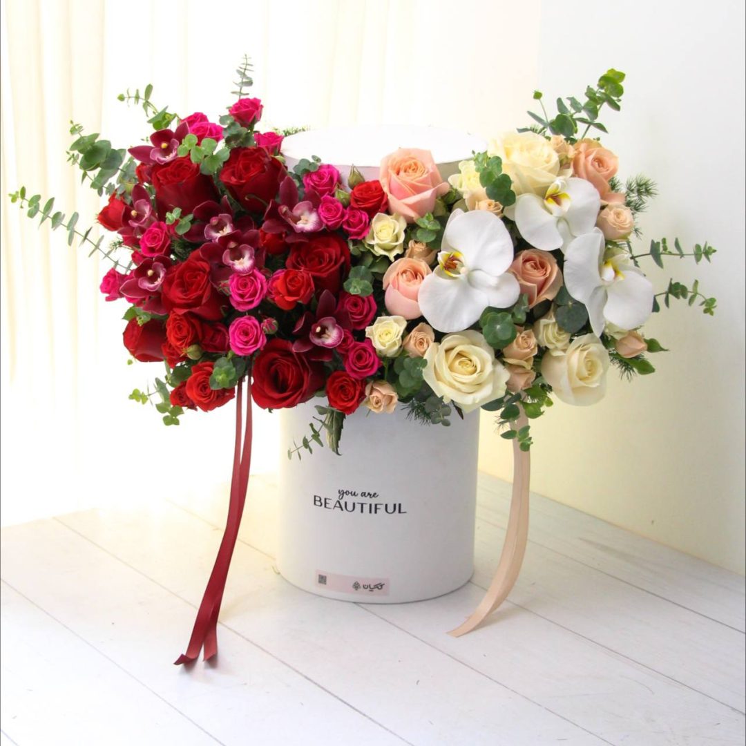 photo_2_2024-11-06_17-28-56