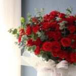 گلدان رز مینیاتوری قرمز