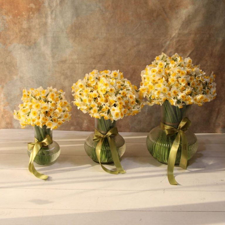 گلدان نرگس مینیمال بزرگ