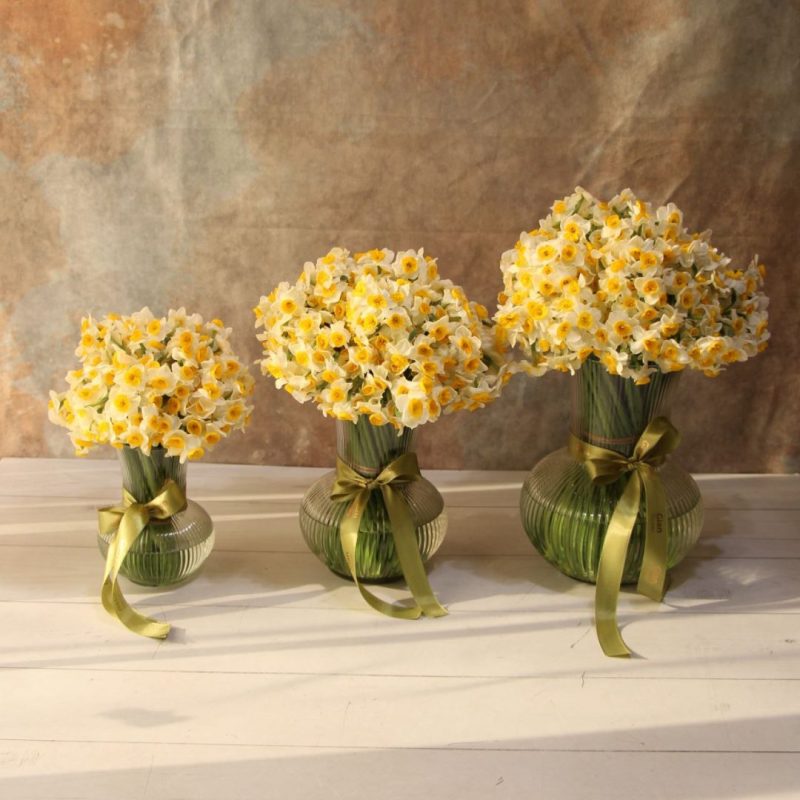 گلدان نرگس مینیمال بزرگ