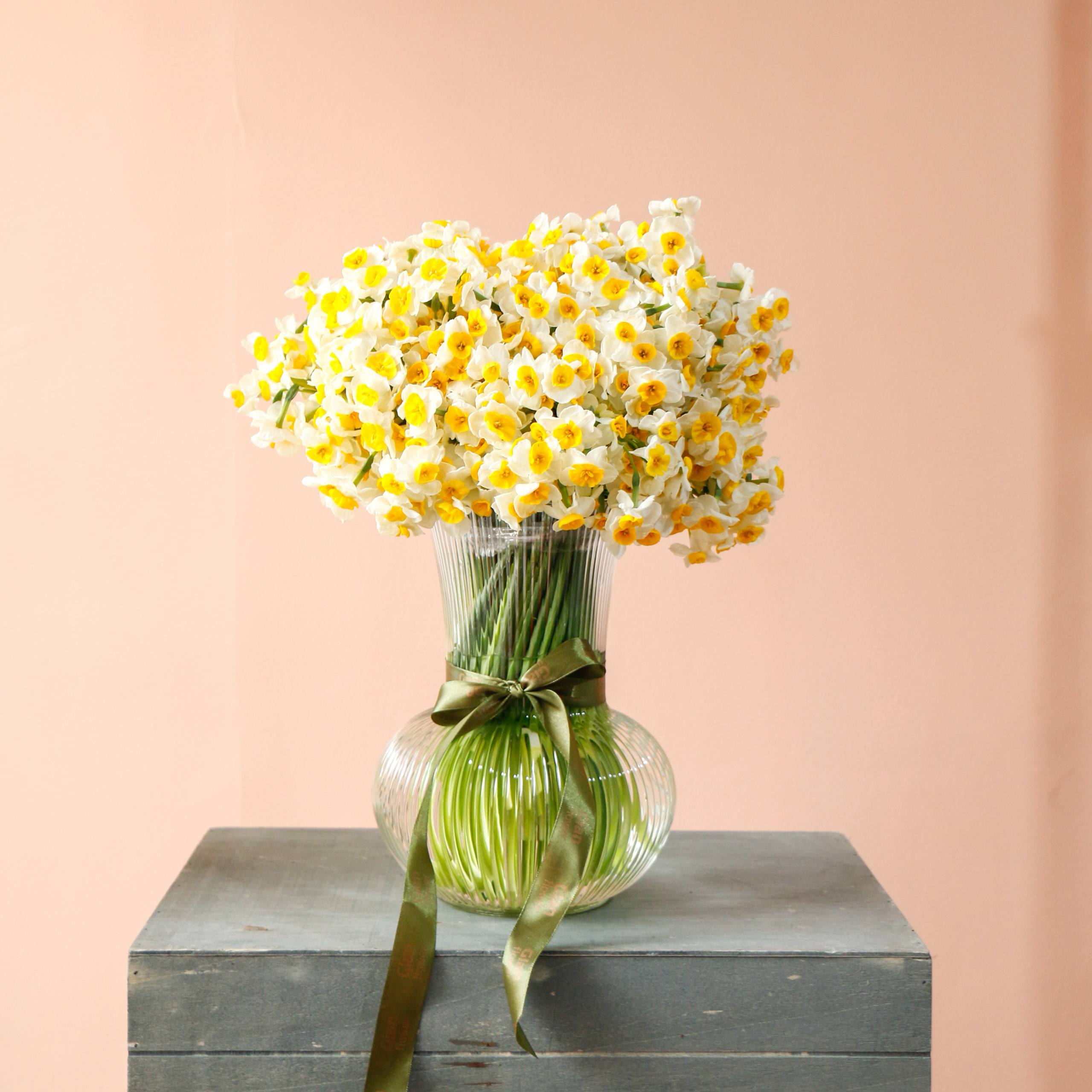 photo_2025-12-08_16-33-00 گلدان نرگس مینیمال بزرگ ۱۵۰ شاخه نرگس