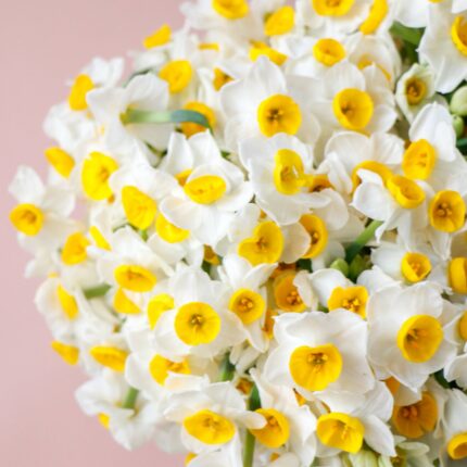 گلدان نرگس مینیمال بزرگ