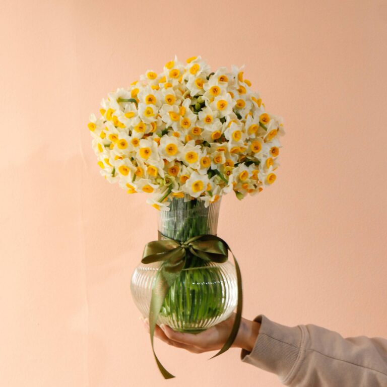 گلدان نرگس مینیمال بزرگ ۱۰۰ شاخه نرگس