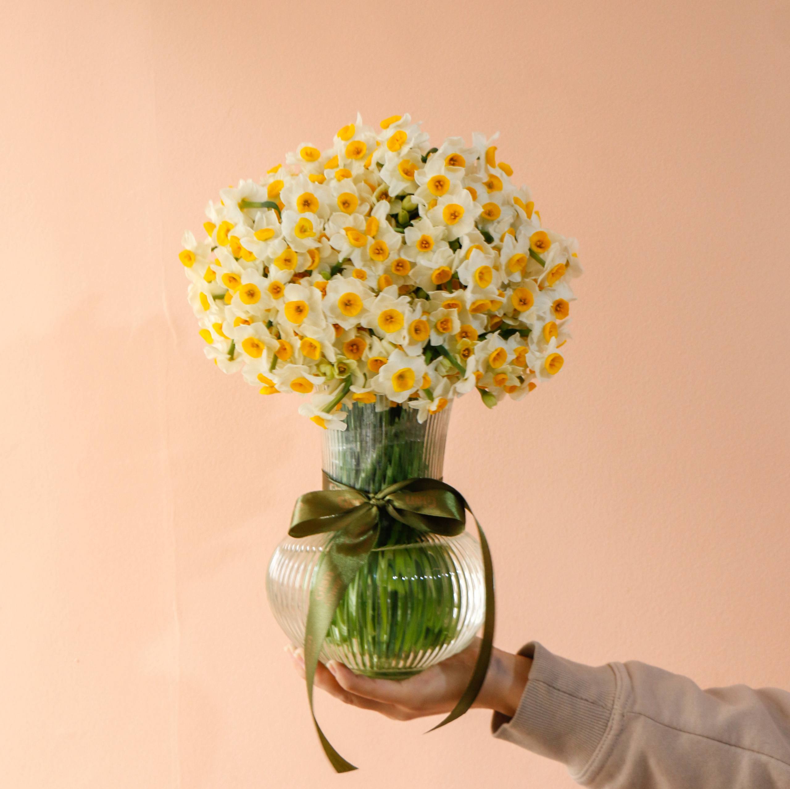 photo_2025-12-08_16-52-50 گلدان نرگس مینیمال بزرگ ۱۰۰ شاخه نرگس