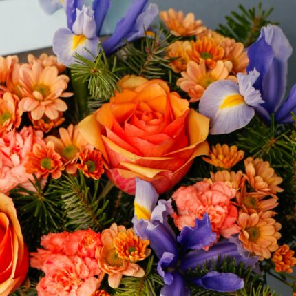 عکس گل روز مرد