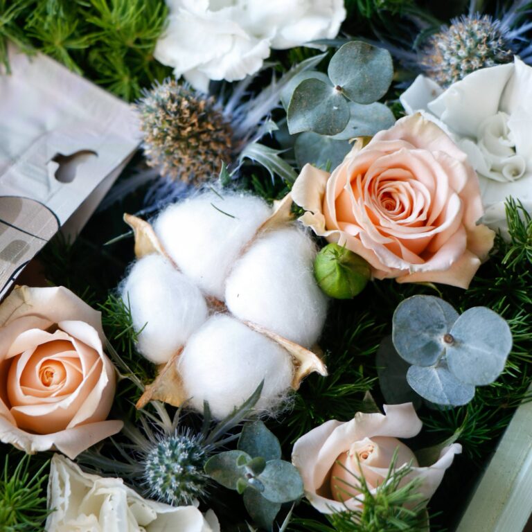 رز مینیاتوری و پنبه گل روز مرد