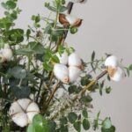 گل پنبه اکالیپتوس گلدان ماندگار