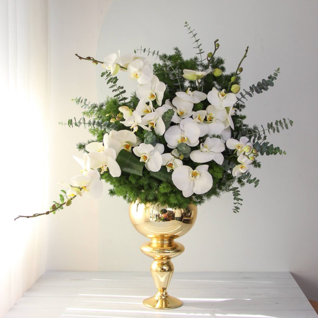 photo_1_2025-09-28_14-25-21