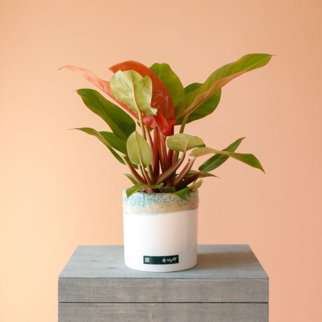 photo_2025-10-28_14-20-54