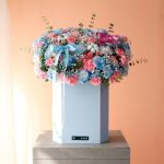 باکس گل صورتی و آبی برای جنس تعیین جنسیت گلفروشی گیان