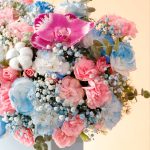 رز مینیاتوری صورتی گل آبی میخک مینیاتوری صورتی ارکیده