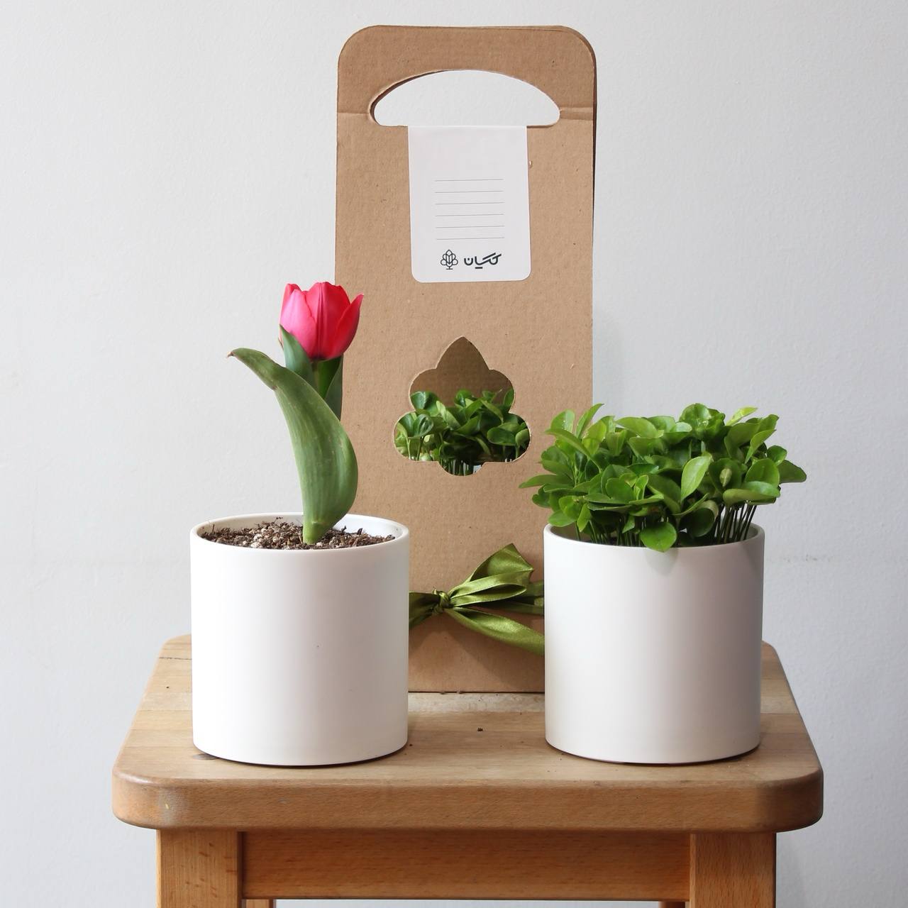 photo_10_2025-03-14_12-20-20