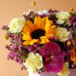 آفتابگردان میخک مهندسی ارکیده