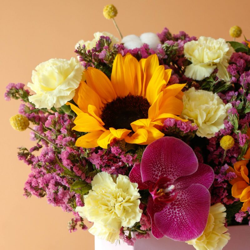 آفتابگردان میخک مهندسی ارکیده