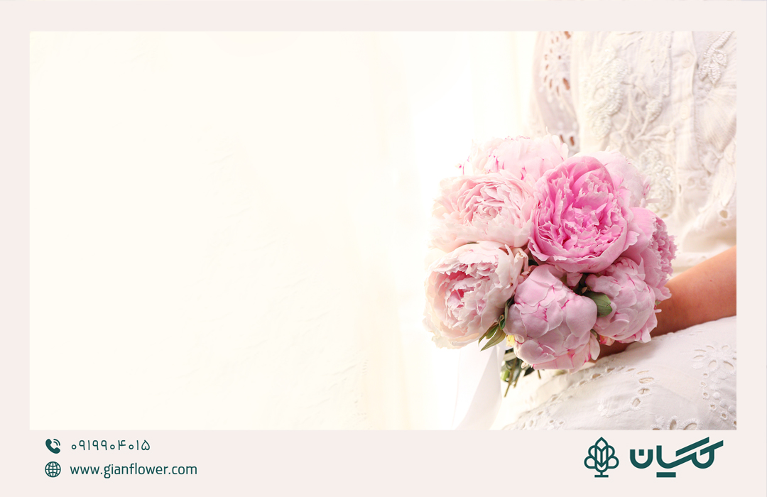 رنگ‌های مختلف گل پیونی نماد چیست؟