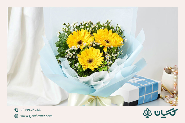 گل ژربرا برای دسته گل برای دفاع پایان نامه