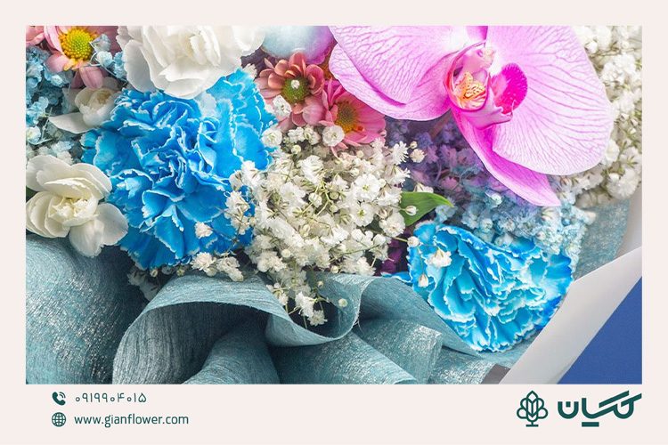 میخک ازجمله بهترین دسته گل برای دفاع پایان نامه