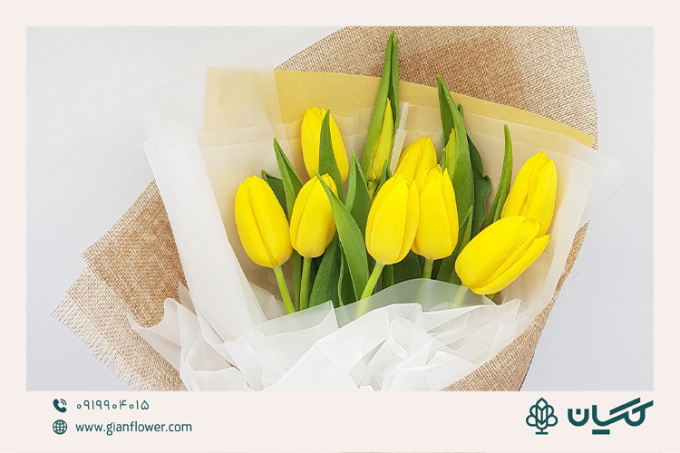 لاله یک هدیه ظریف و پرانرژی به عنوان دسته گل مناسب جلسه دفاع