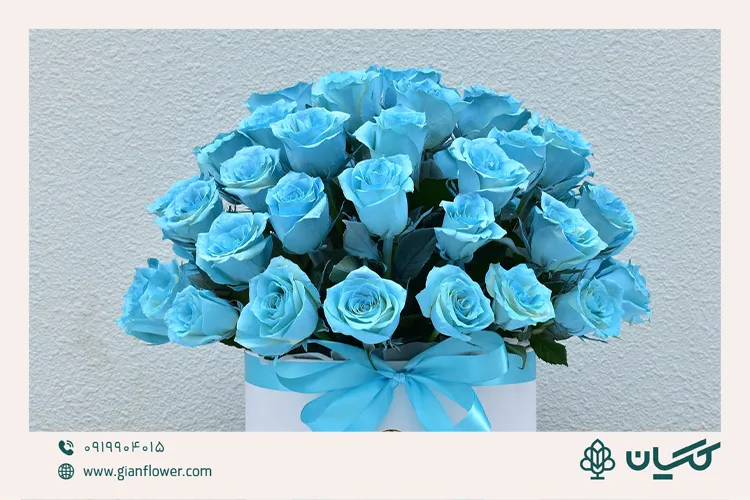 معنی گل رز آبی