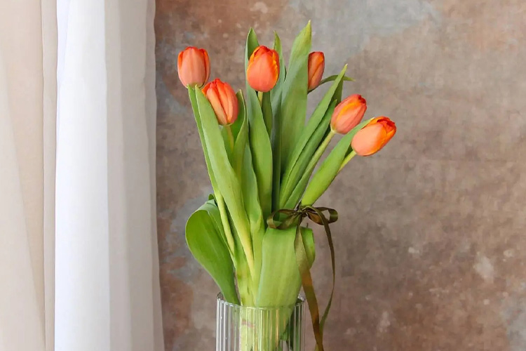 گل لاله جزو بهترین گل طبیعی برای هدیه دادن