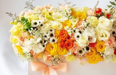 گل میخک؛ مناسب روز مادر