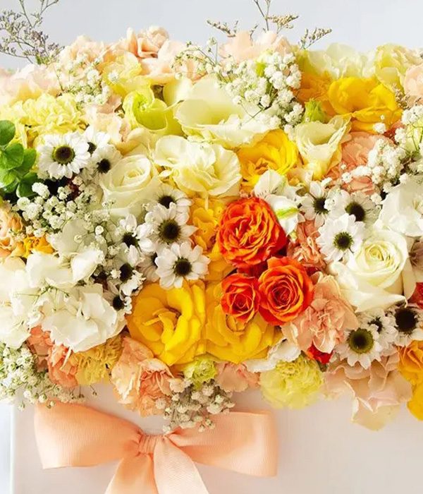 گل میخک؛ مناسب روز مادر