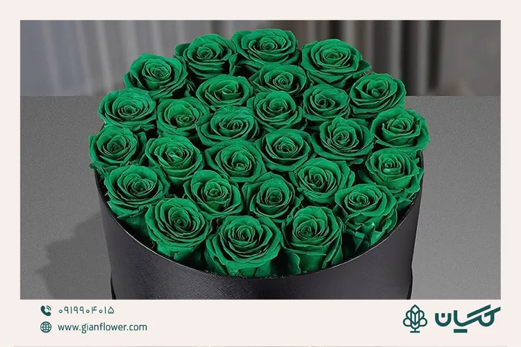 معنی گل رز سبز