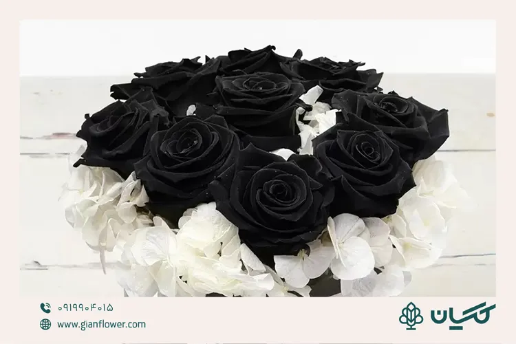 معنی گل رز سیاه نماد چیست