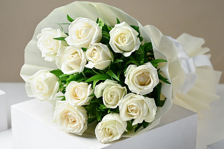 معنی گل رز سفید