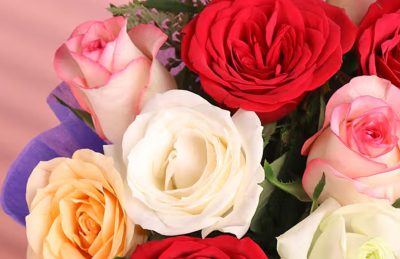 معنی رنگ گل رز