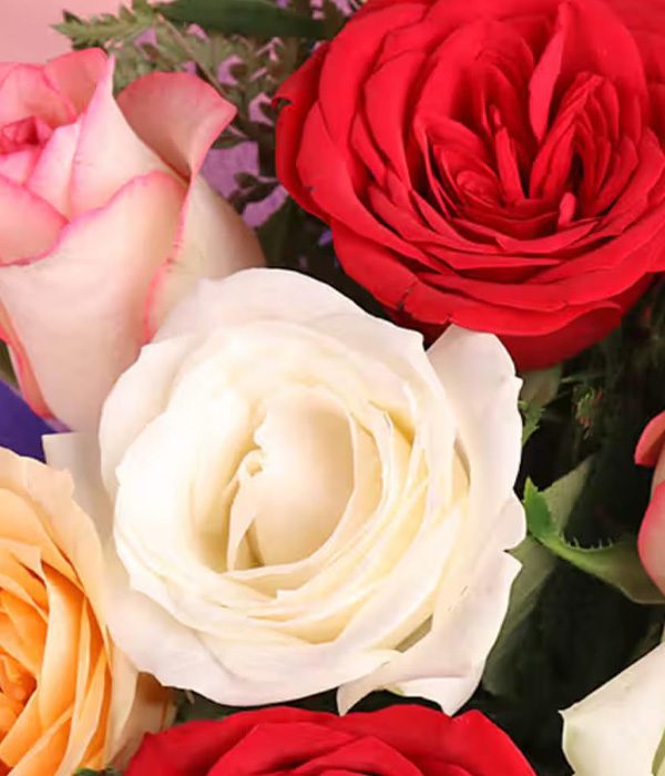 معنی رنگ گل رز