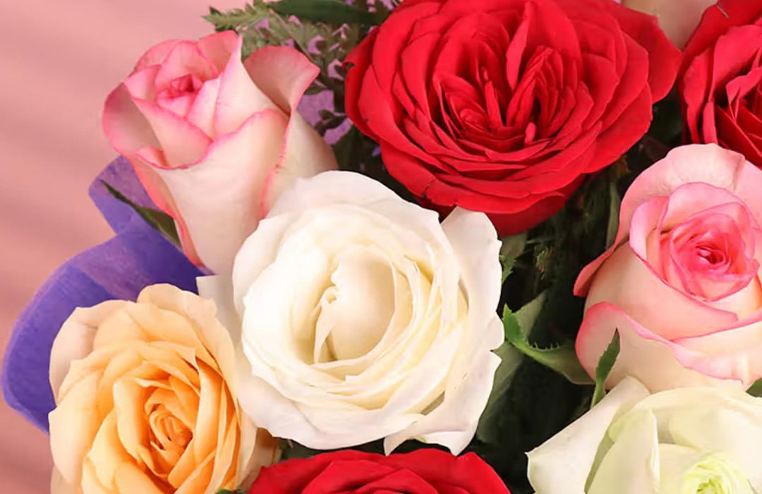 معنی رنگ گل رز