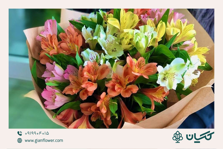 زیباترین دسته گل آلسترومیا هدیه تبریک فارغ التحصیلی به دوست 