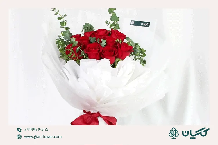 گل رز جزو گل ماه تولد خرداد (May-June)