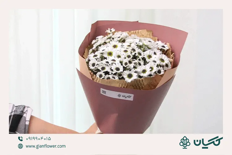 دسته گل داوودی، گل تولد آبان (October-November)