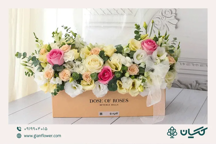 عکس گل تولد طبیعی