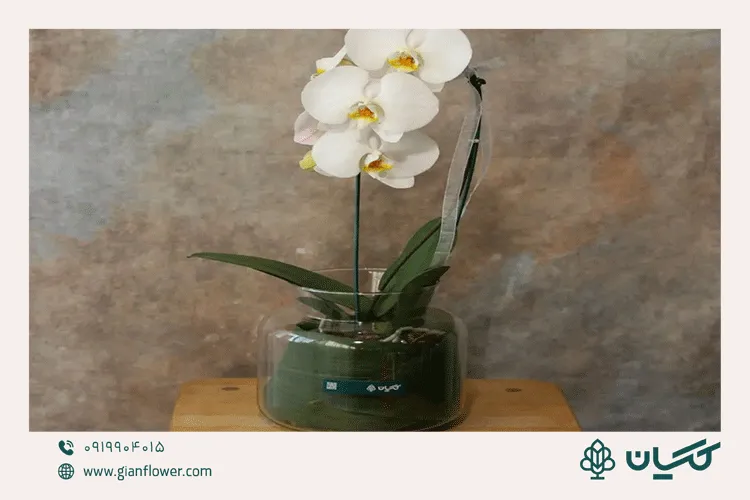 عکس گل برای مراسم ختم