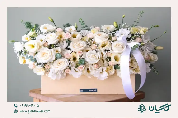 زریا گل مناسب خواستگاری