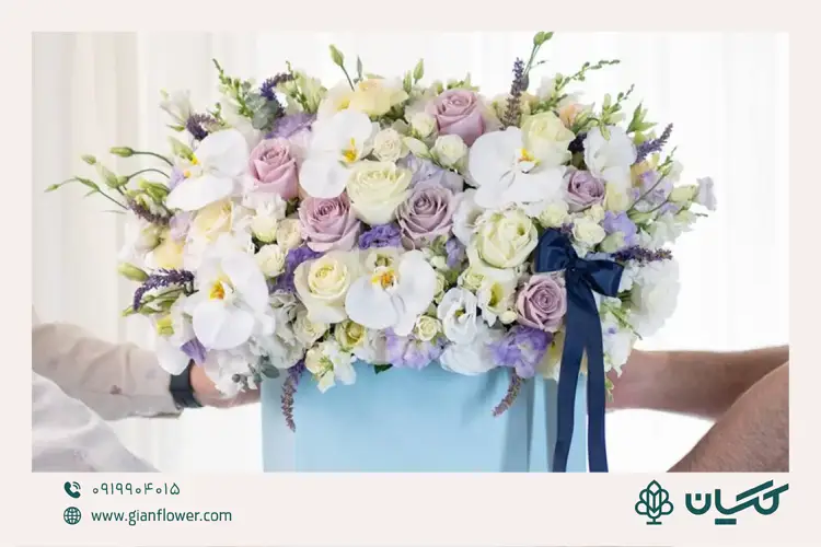 باکس هیلان مناسب برای گل خواستگاری