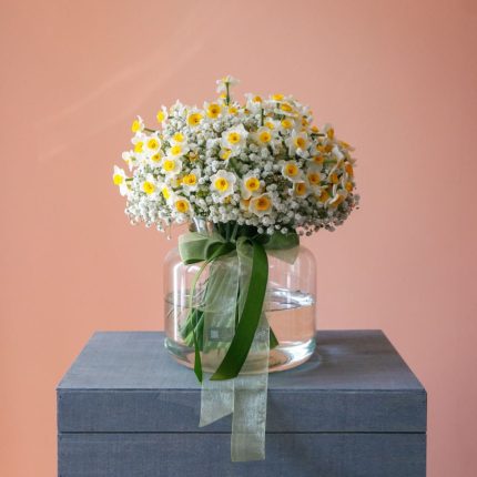 گلدان نرگس و ژيپسوفیلیا - گلفروشی گیان