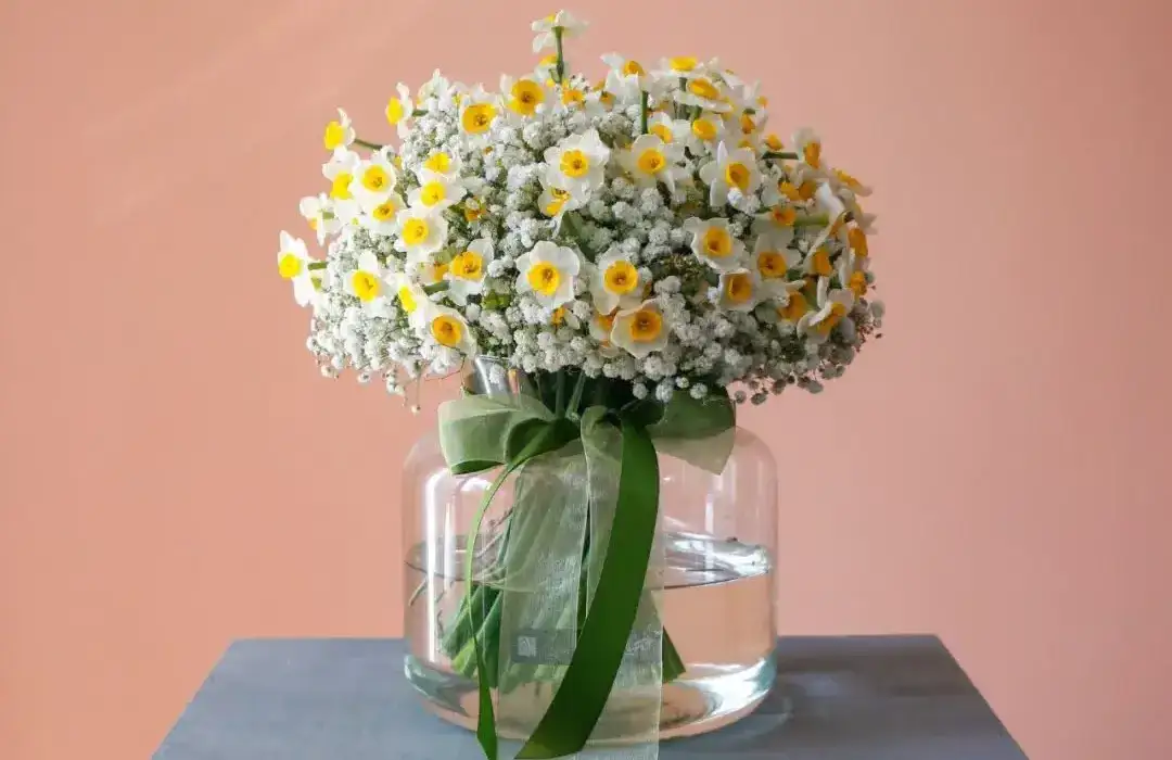 گل نرگس نماد چیست؟