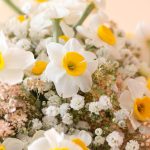 گل نرگس در گلدان برای هدیه - گلفروشی گیان