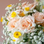 نرگس رز مینیاتوری ژیپسوفیلیا - گلفروشی گیان