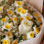 رز سفید نرگس ژیپسوفیلیا - گل گیان