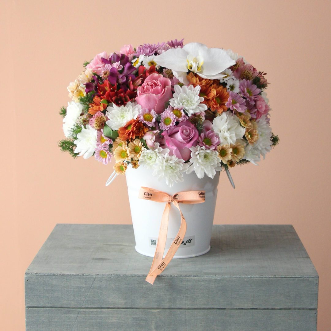 photo_28_2025-11-17_12-33-37