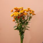 دسته گل داوودی مینیاتوری نارنجی شاخه‌ای گرم و پرجلوه - گلفروشی گیان