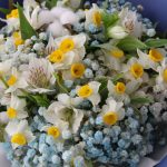 نمای نزدیک دسته گل نرگس طبیعی و آلسترومریا با ژیپسوفیلیا آبی – گلفروشی گیان