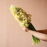 دسته گل بزرگ نرگس گل شاخهای - گیان
