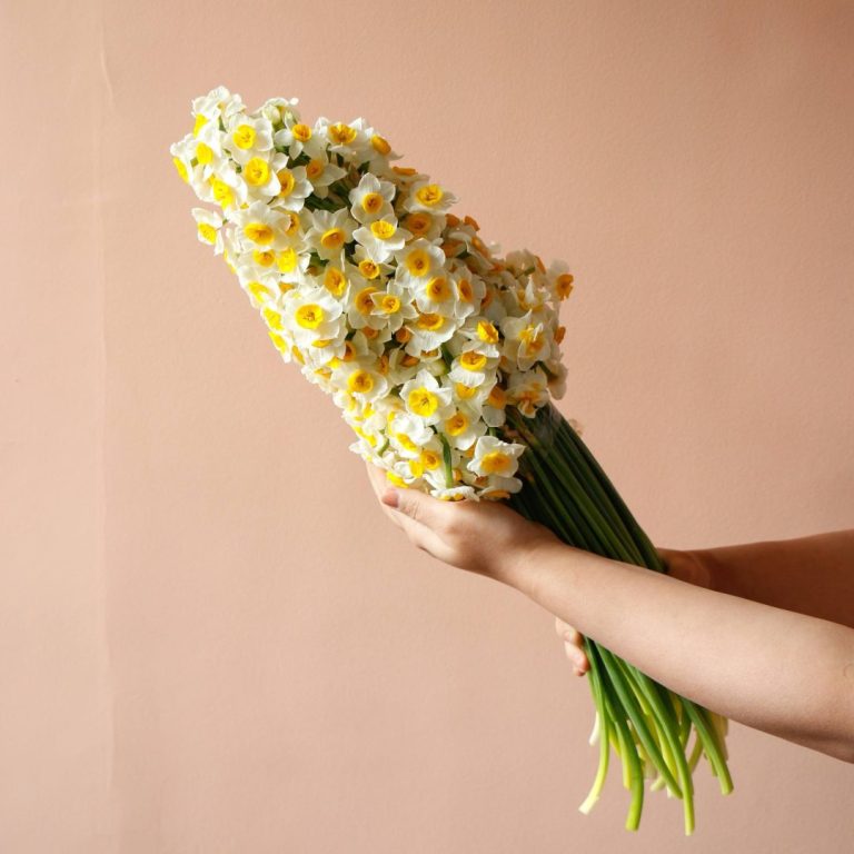 دسته گل بزرگ نرگس گل شاخه‌ای - گیان